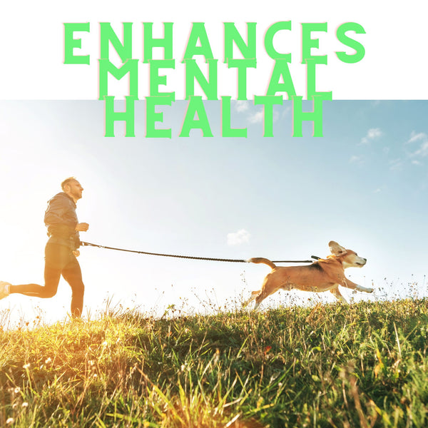 dog running with owner in a grassy field promoting better mental health