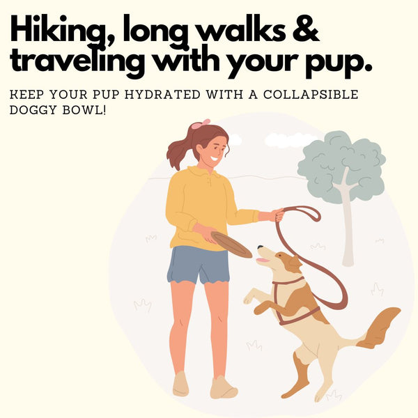 hiking, long walks, and traveling with your pets!