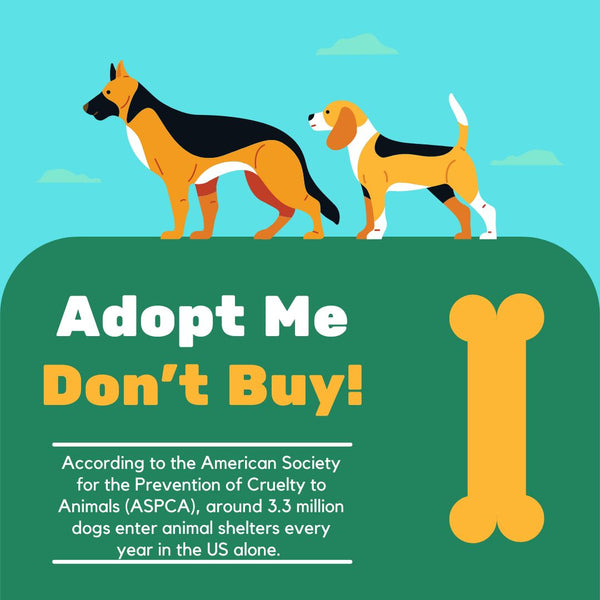 adopt a dog and save a life