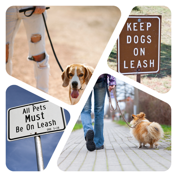 dogs must be on a leash sign