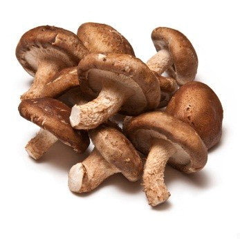 Shitake Mushroom – EDEN'S HK