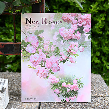 NewRoses2022春号