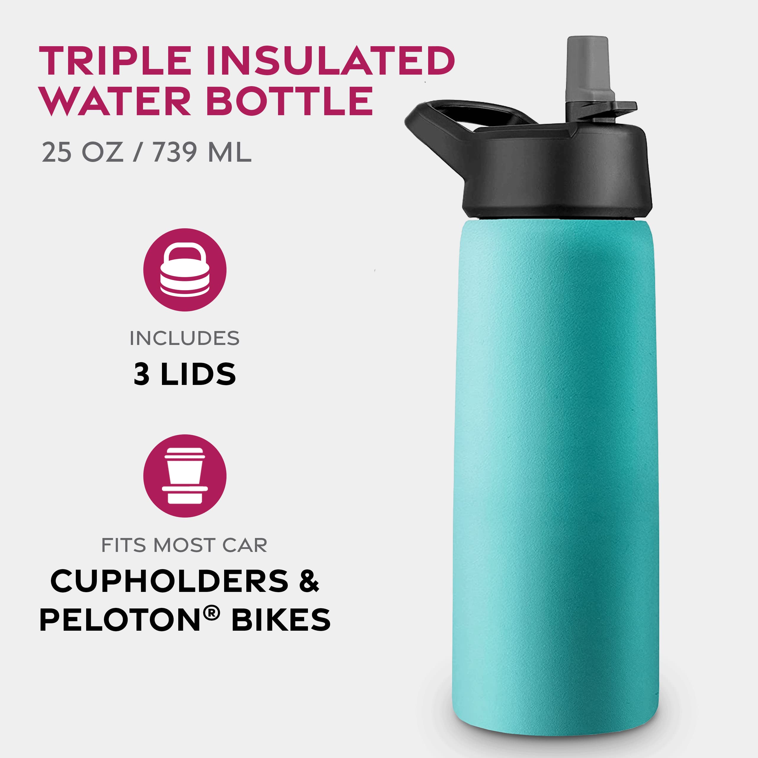 Insulated Sports Water Bottle with Straw-image-228