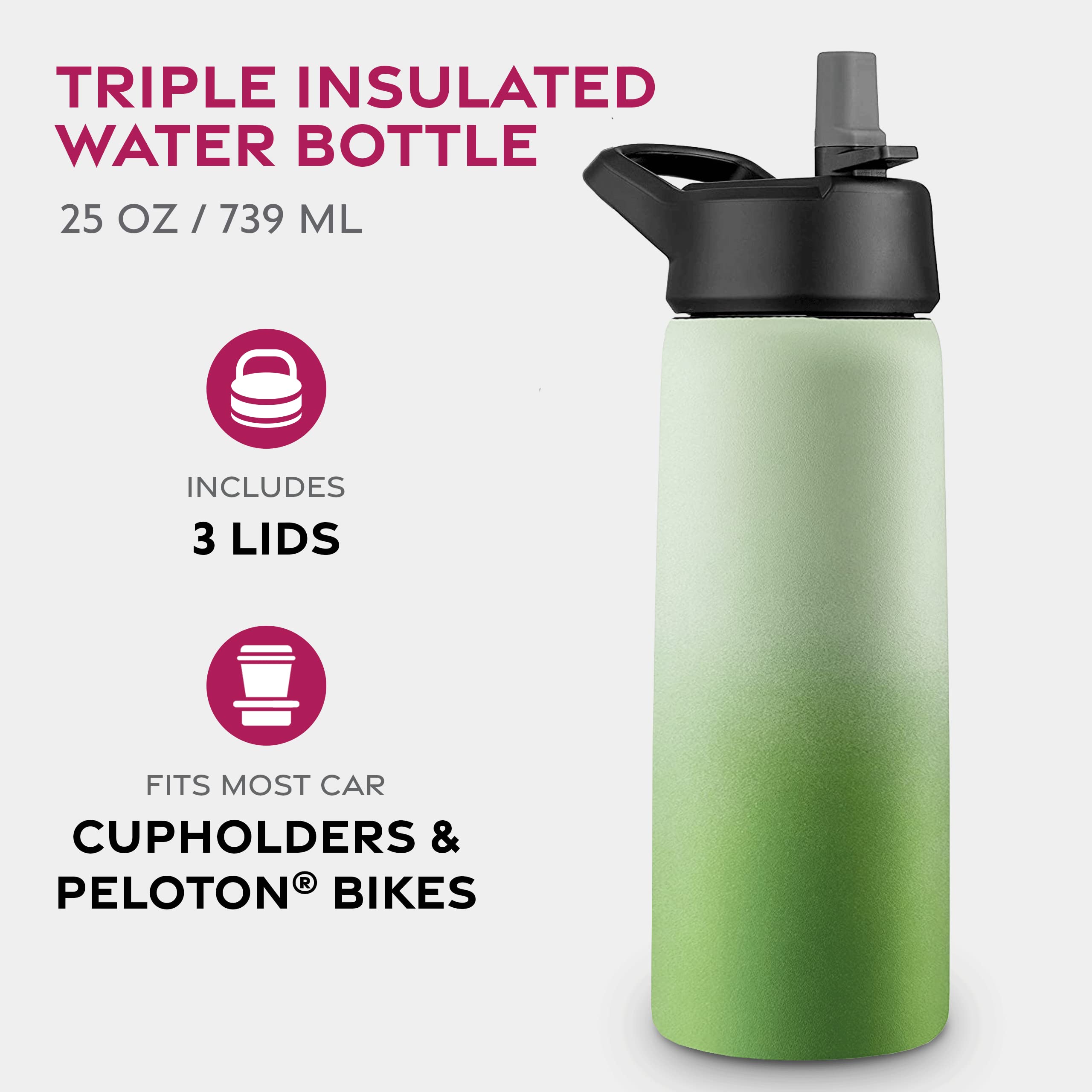 Insulated Sports Water Bottle with Straw