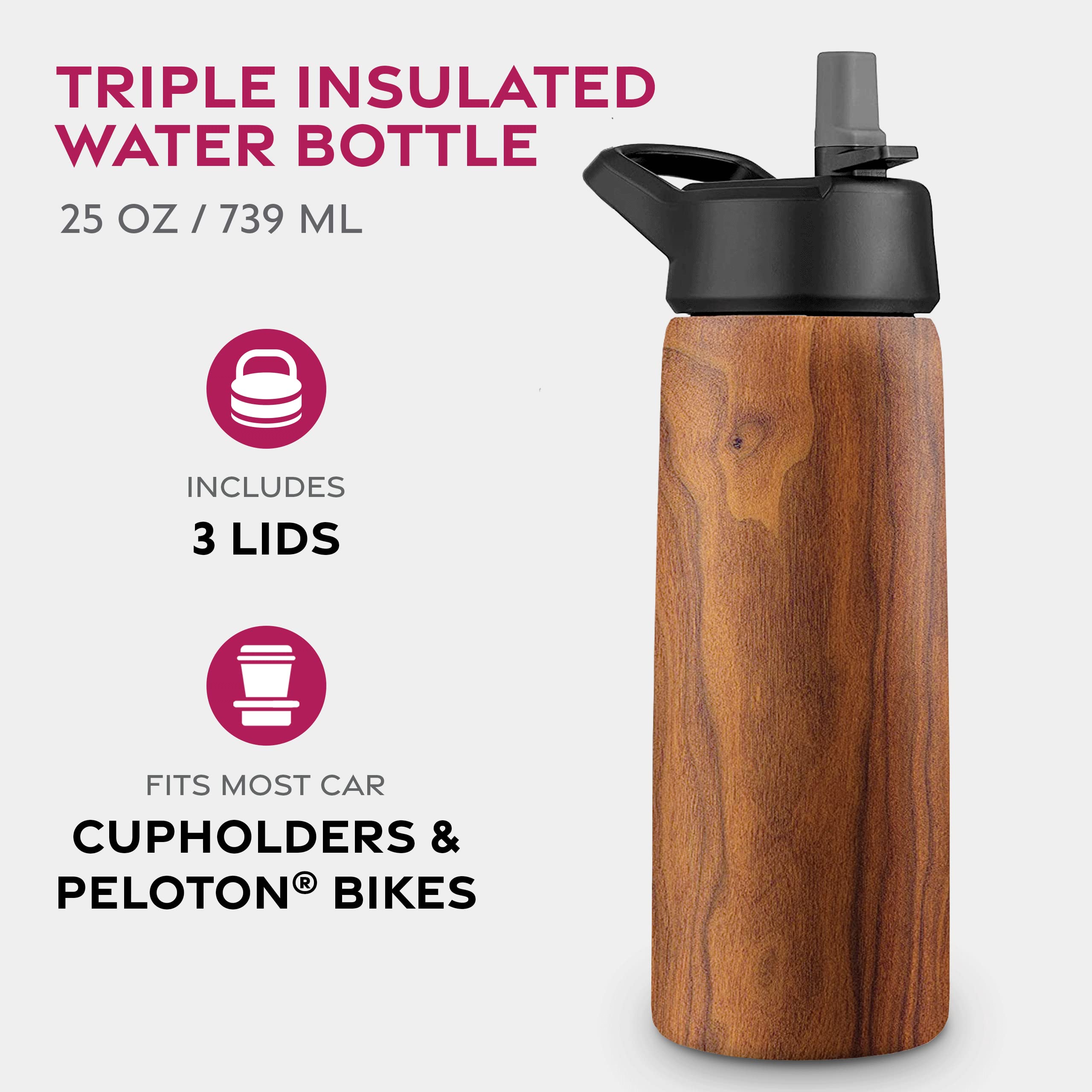 Insulated Sports Water Bottle with Straw