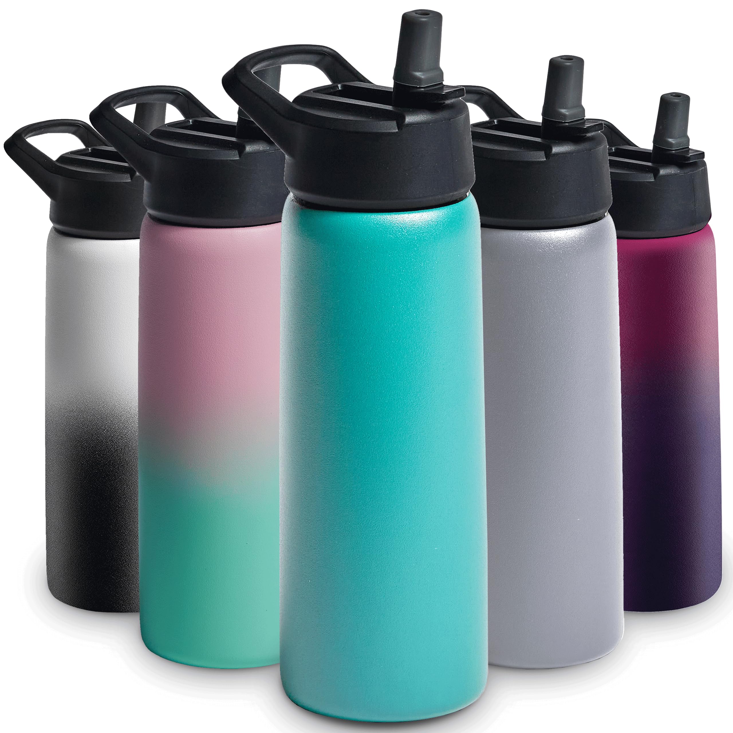 Insulated Sports Water Bottle with Straw-image-239