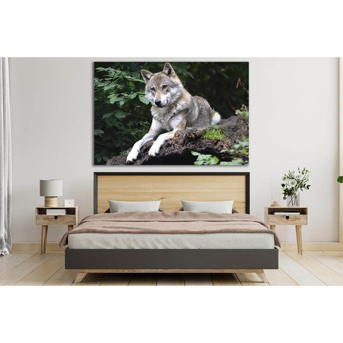 Wolf On A Stone №SL1002 - Canvas Print / Wall Art / Wall Decor / Artwork / Poster