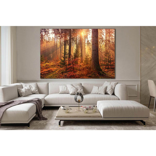 Mystery Autumn Forest And Sun Light №SL518 - Canvas Print / Wall Art / Wall Decor / Artwork / Poster