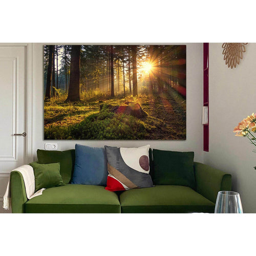Morning In The Forest №SL1074 - Canvas Print / Wall Art / Wall Decor / Artwork / Poster