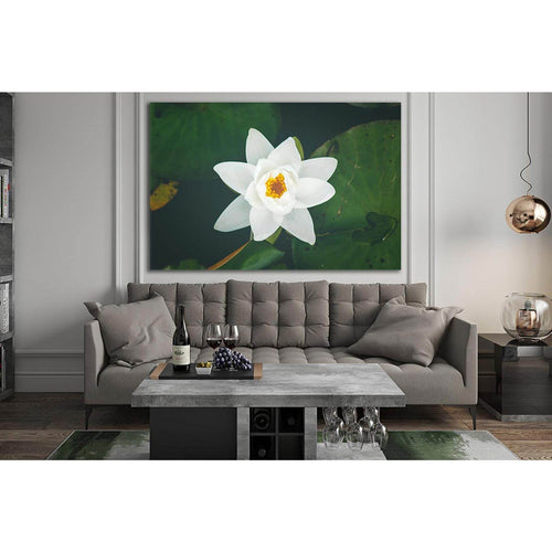 White Lily Flower №SL696 - Canvas Print / Wall Art / Wall Decor / Artwork / Poster
