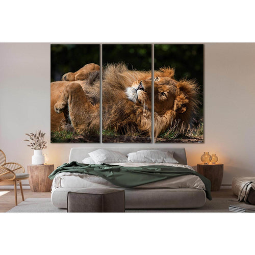 Lion Lying On His Back №SL1036 - Canvas Print / Wall Art / Wall Decor / Artwork / Poster