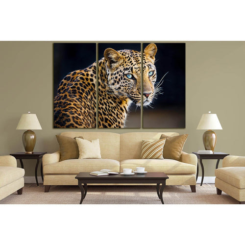 Leopard On A Black Background №SL1535 - Canvas Print / Wall Art / Wall Decor / Artwork / Poster