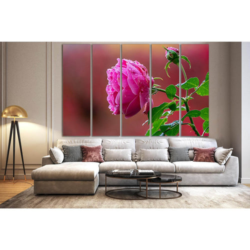 Beautiful Pink Rose Bud №SL729 - Canvas Print / Wall Art / Wall Decor / Artwork / Poster