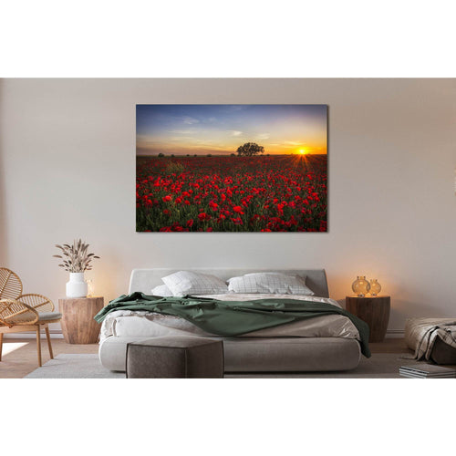 Poppy field №D1214 - Canvas Print / Wall Art / Wall Decor / Artwork / Poster