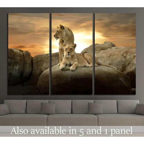 African Lion №2351 - Canvas Print / Wall Art / Wall Decor / Artwork / Poster