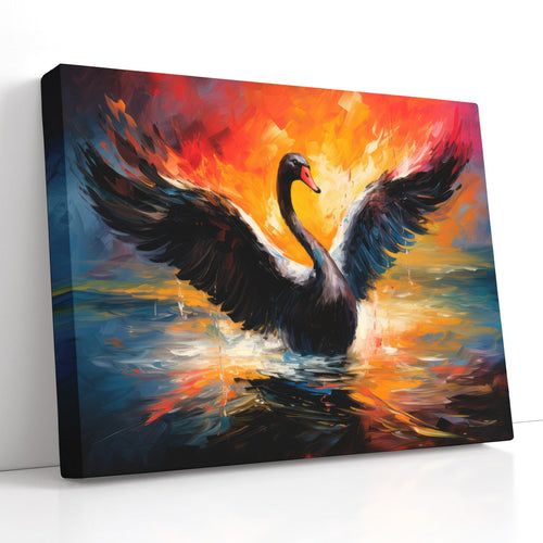 Black Swan Splashing in Water - Canvas Print