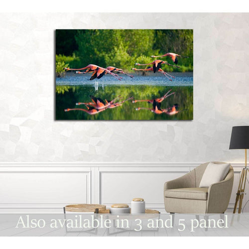 Caribbean flamingos flying over water with reflection. Cuba №3260 - Canvas Print / Wall Art / Wall Decor / Artwork / Poster