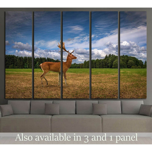 Deer in a Field №2361 - Canvas Print / Wall Art / Wall Decor / Artwork / Poster
