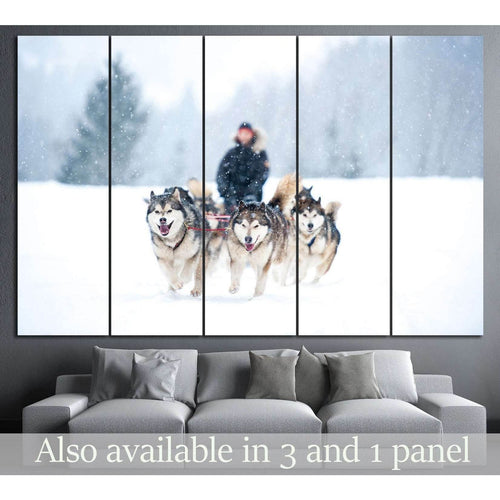 Dogs team and Snow №7 - Canvas Print / Wall Art / Wall Decor / Artwork / Poster