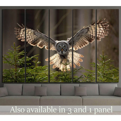 Flying Great Grey Owl, Strix nebulosa №1331 - Canvas Print / Wall Art / Wall Decor / Artwork / Poster