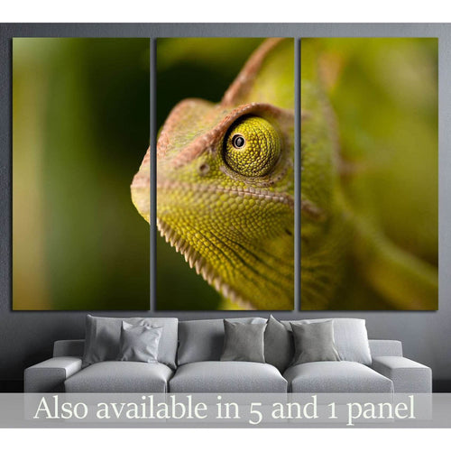 Green chameleon camouflaged by taking colors of its natural background №1829 - Canvas Print / Wall Art / Wall Decor / Artwork / Poster