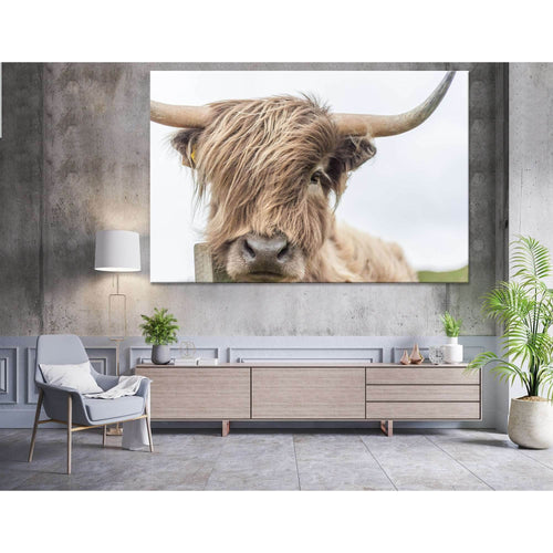 Highland Cow №04123 - Canvas Print / Wall Art / Wall Decor / Artwork / Poster