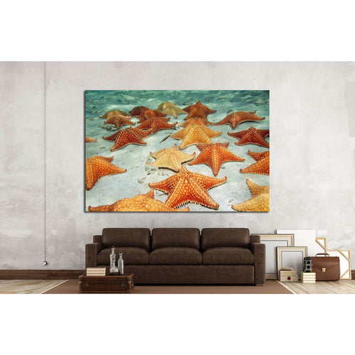 Plenty of cushion starfish on a sandy ocean floor №1395 - Canvas Print / Wall Art / Wall Decor / Artwork / Poster