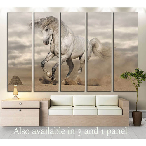 Silver gray Andalusian horse in desert. Toned image №2785 - Canvas Print / Wall Art / Wall Decor / Artwork / Poster