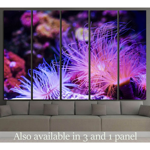 Underwater World, Coral Reef №1421 - Canvas Print / Wall Art / Wall Decor / Artwork / Poster