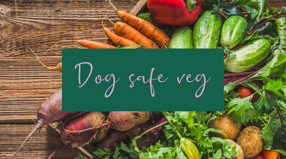 are fresh vegetables good for dogs