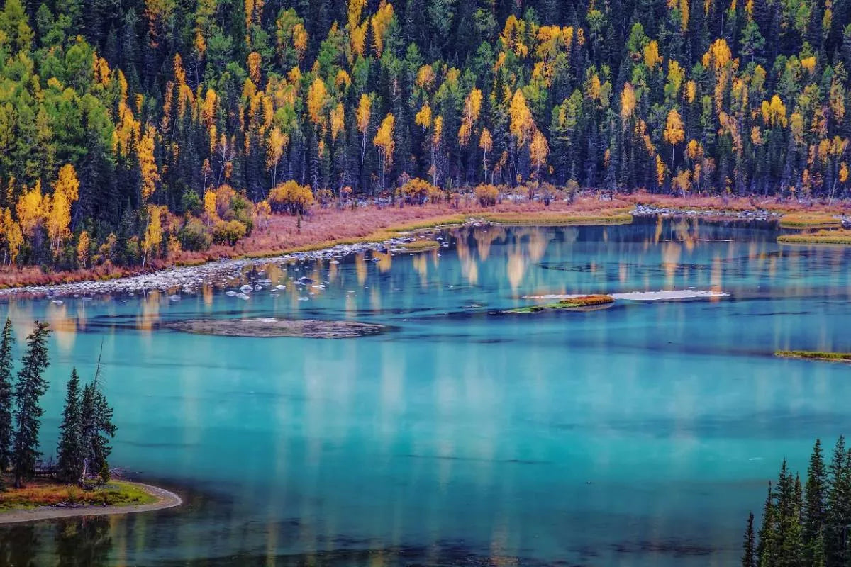 Nature_s_Hidden_Code_in_Kanas