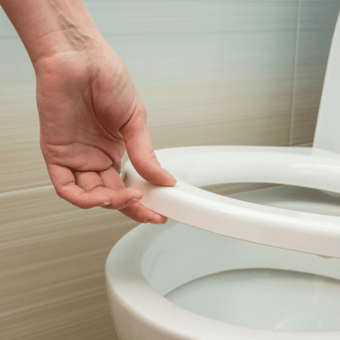 Raised Toilet Seat compatible with bidet seats