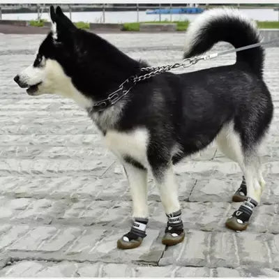 Les chaussures pour chien | Worky-Shoes™️