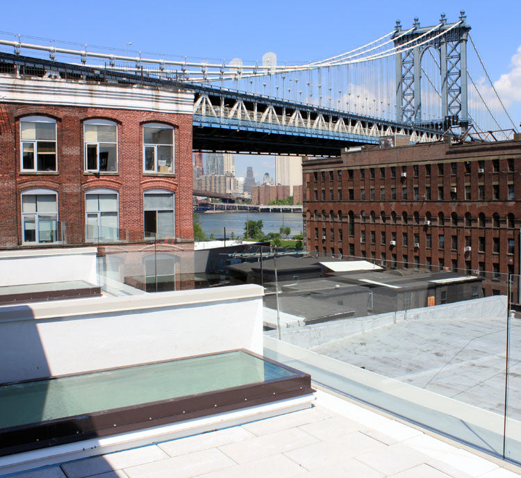 DUMBO_roof