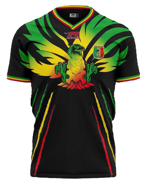 Maillot de football Mali Home Concept 2023-2024