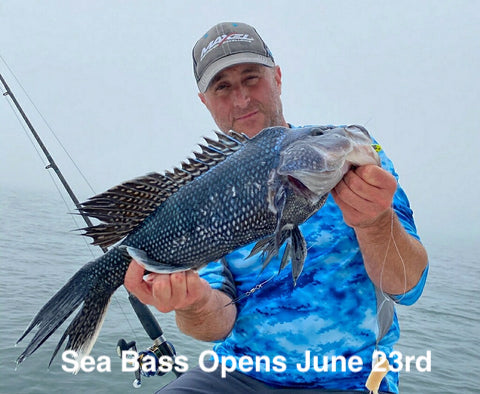 NEW STRIPED BASS REGS • Local Fishing Is Spectacular • Get Ready For S – J  & J Sports Inc.-Bait & Tackle-Fishing Long Island