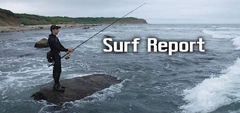 Surf Banner