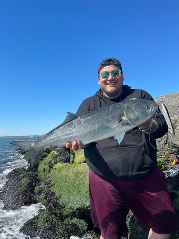 Weakfish Show Up!! • Bluefish On The Grill • Fluke Arrive