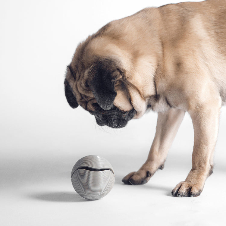Pop Treat Dispenser Dog Ball - Grey