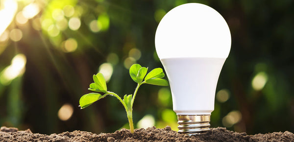LED light bulbs help the earth and global warming