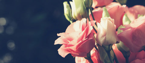 フローリストが教える"お盆"の花の飾り方と、おすすめのお花について