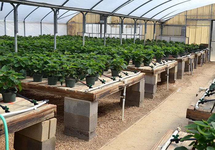Large Greenhouse Shelving Ideas