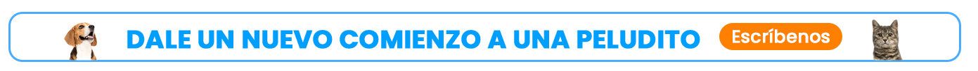 nuevo comienzo