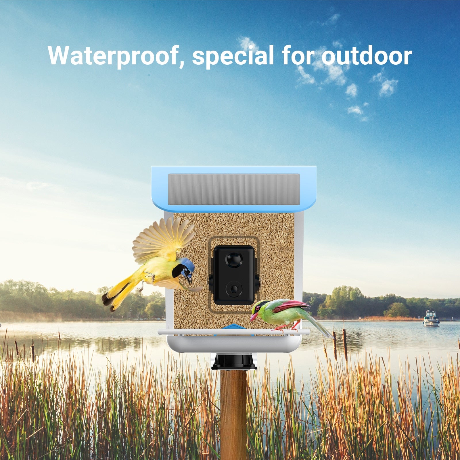 Bird Feeder Camera Bird Watching Camera Auto Capture Bird VideosNotify When Birds Detected Camera WiFi Wireless