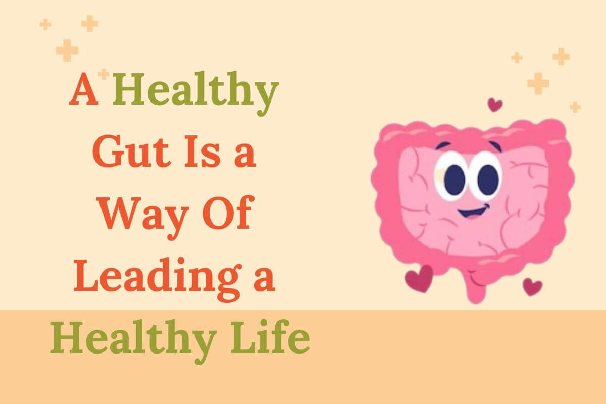 A Healthy Gut Is a Way Of Leading a Healthy Life