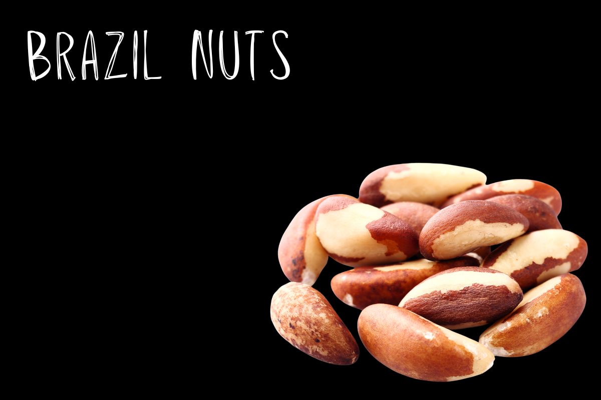 Brazil Nuts Benefits - SKinrange