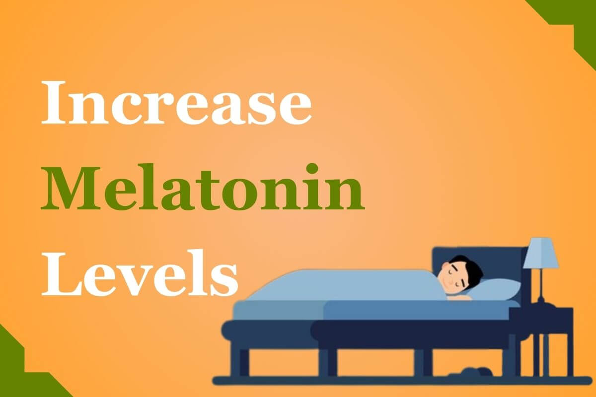 Increase Your Melatonin Levels