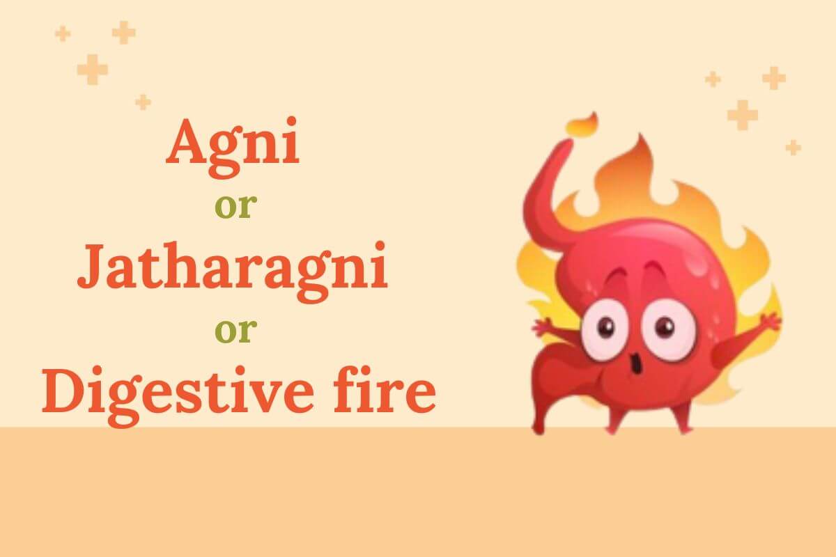 Jatharagni or Agni or Digestive fire