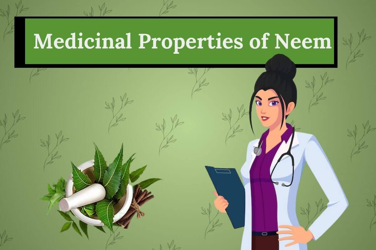 Medicinal Properties of Neem