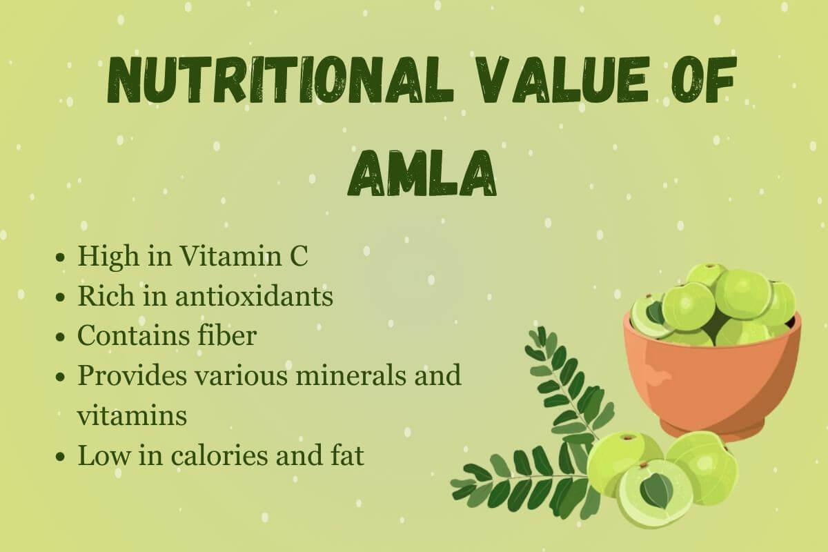 Nutritional Value of Amla